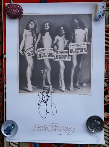 The pink fairies - fairies,