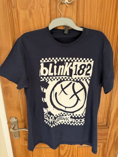Blink 182 reunion world tour - reunion,